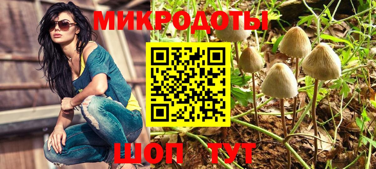 Псилоцибиновые грибы Magic Shrooms Сибай